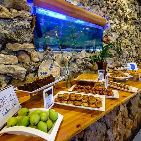 ホテル Anonymous (adults Only) アヤナパ