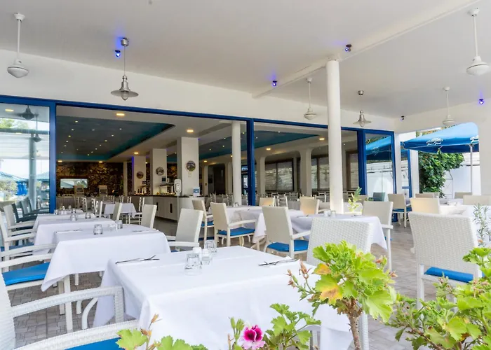 Anonymous (adults Only)